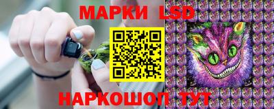ECSTASY Камышлов