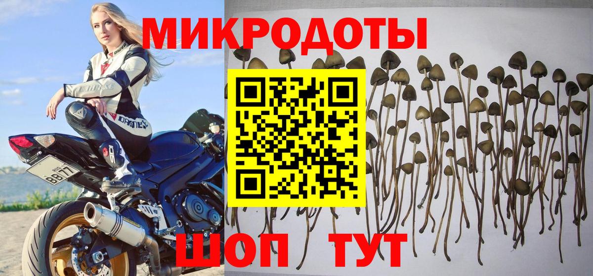Галлюциногенные грибы GOLDEN TEACHER  Галлюциногенные грибы Cubensis  Вход с VPN  Куйбышев 